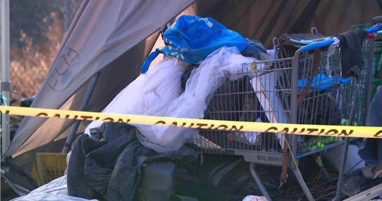 2 people found dead after weekend fires at Edmonton homeless encampments