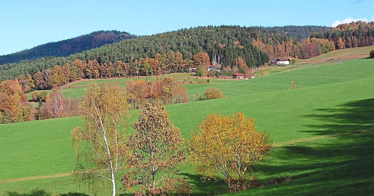 Neues Baugebiet in Blossersberg auf 78.000 Quadratmetern