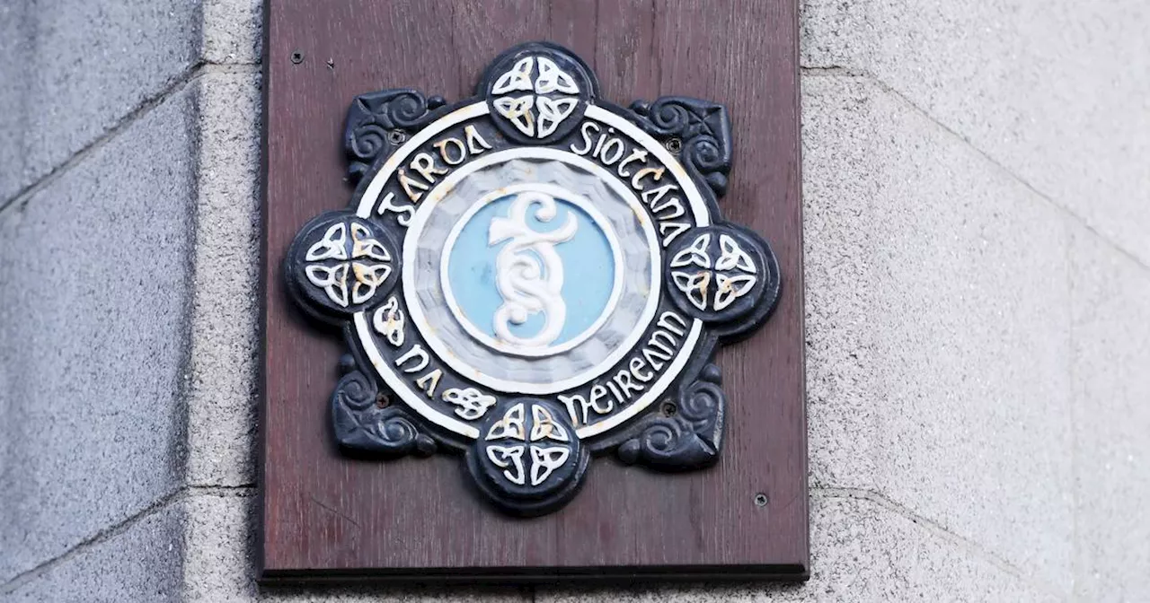 Commissioner loses appeal over sanction of garda who engaged in sexual act with vulnerable woman in station