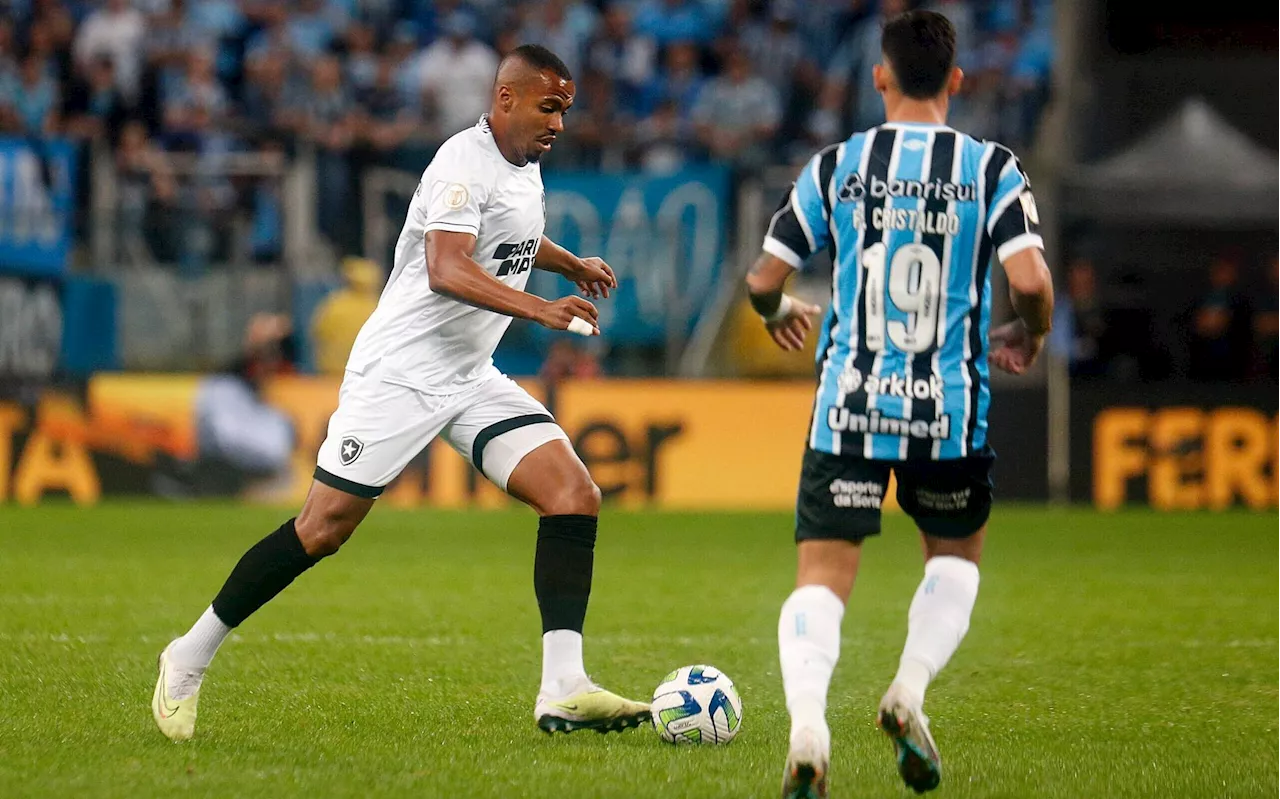 Botafogo x Grêmio: estatísticas e informações do jogo pela 33ª rodada do Brasileirão