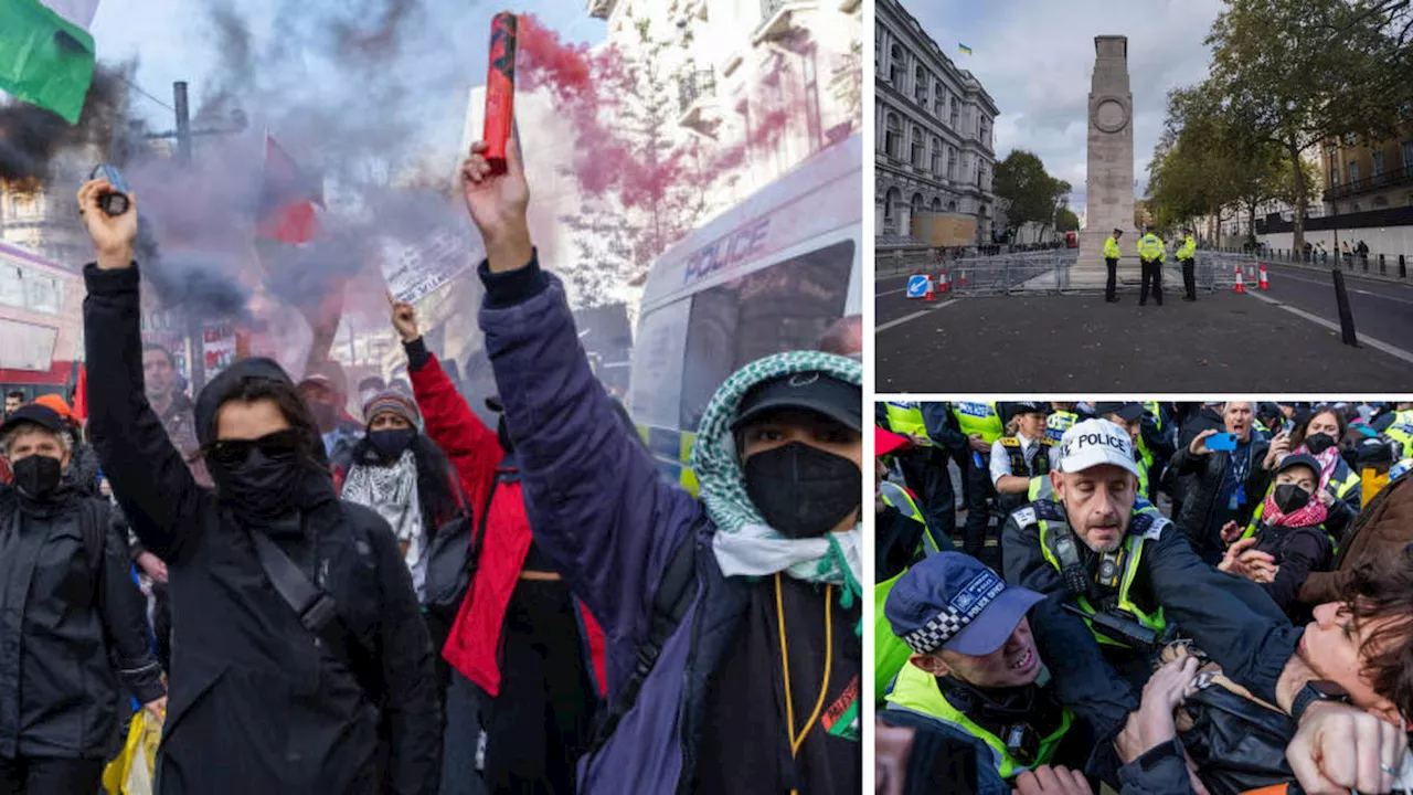 Palestine activists vow to continue with Armistice day protests despite police pleas to postpone