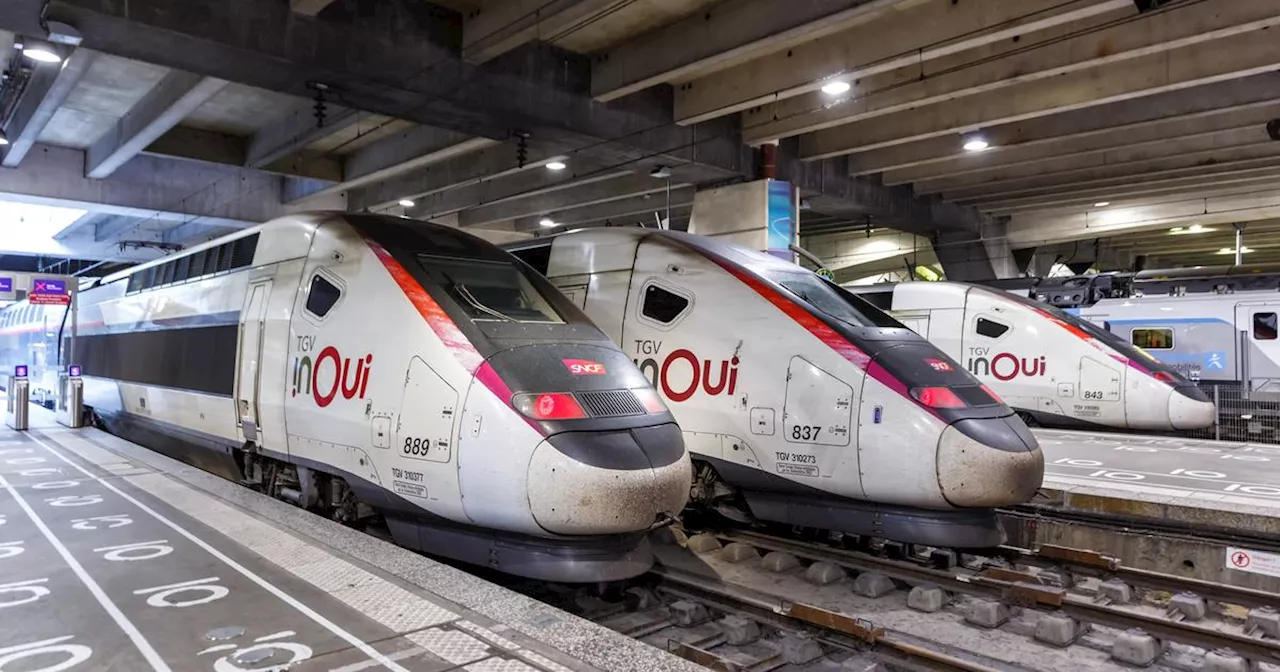 Le trafic SNCF très perturbé entre Dijon et Paris ce mardi à cause d’un vol de câbles