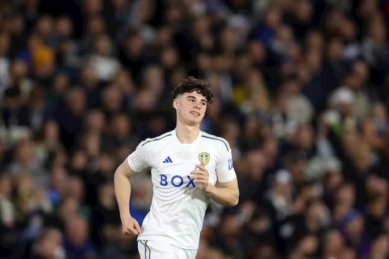 Championship's youngest squads: How Leeds United compare to Sunderland, Southampton and rivals