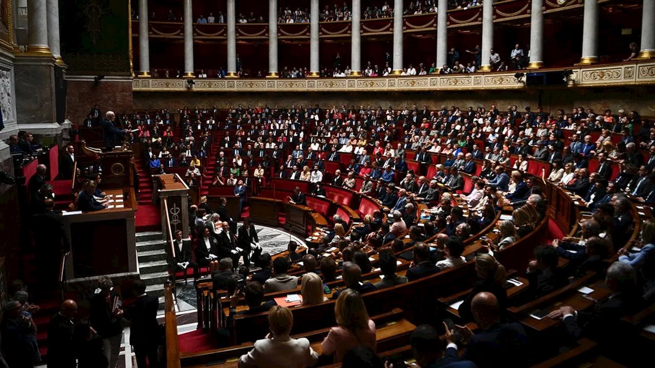 Assurance santé : la start-up Alan décroche un contrat à l'Assemblée Nationale