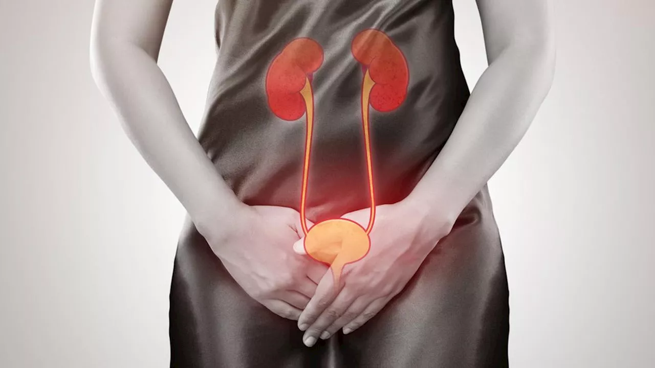 Hematuria Adalah Kencing Berdarah, Pahami Penyebab, Gejala, dan Perawatan yang Diperlukan