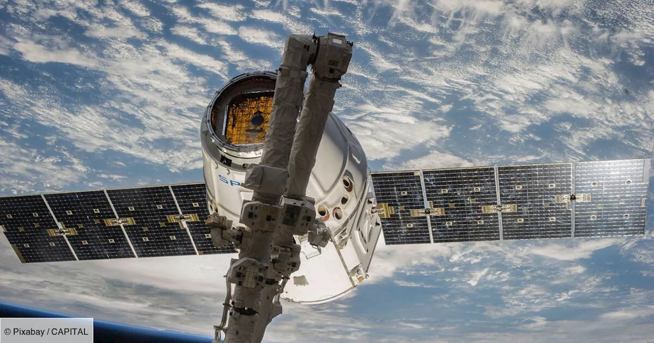 Reporters sans frontières va lancer en Russie un bouquet satellite d'infos indépendantes