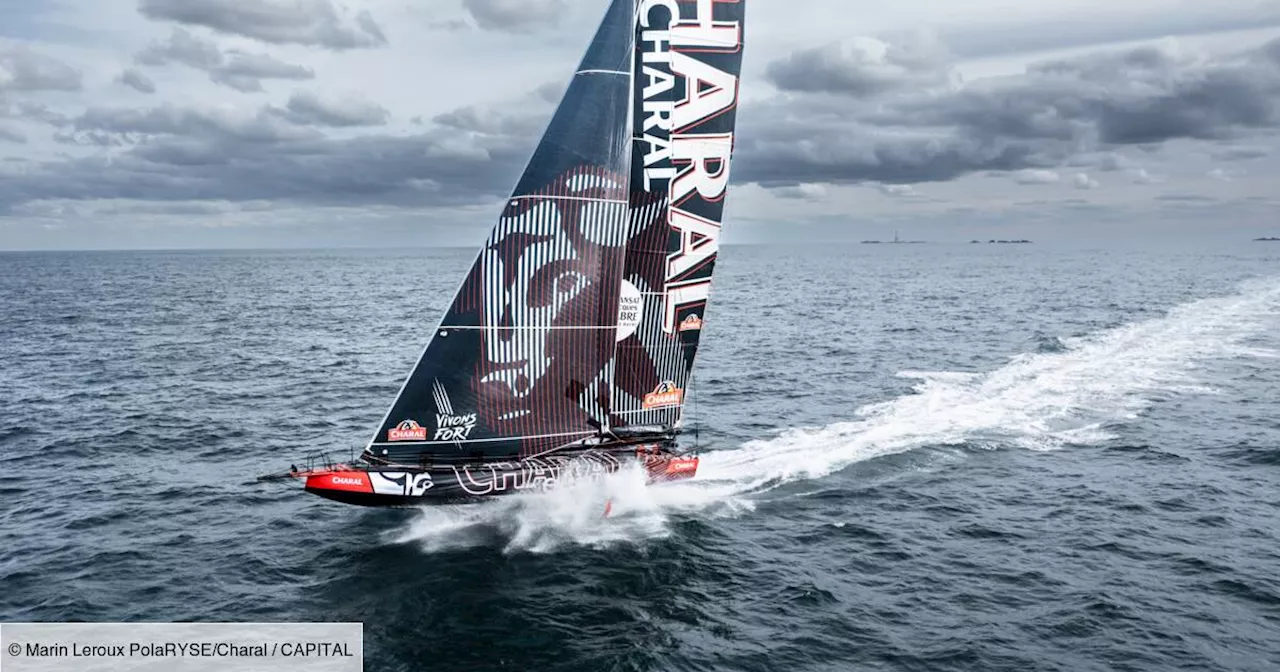 Transat Jacques Vabre et sponsoring : pourquoi les entreprises s’arrachent le monde de la voile ?