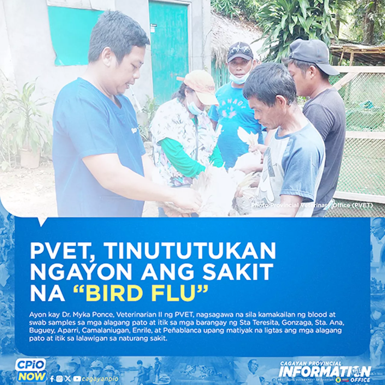 Cagayan conducting bird flu surveillance