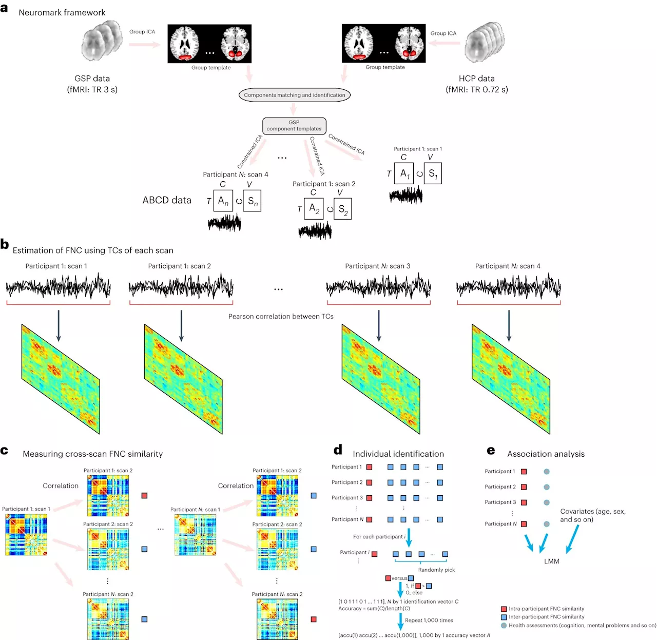 Connectivity scans could serve as brain 'blueprints' for adolescents, researchers find