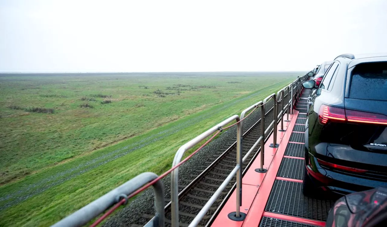 Bahnunglück auf Sylt: Autozug fährt in Rinderherde