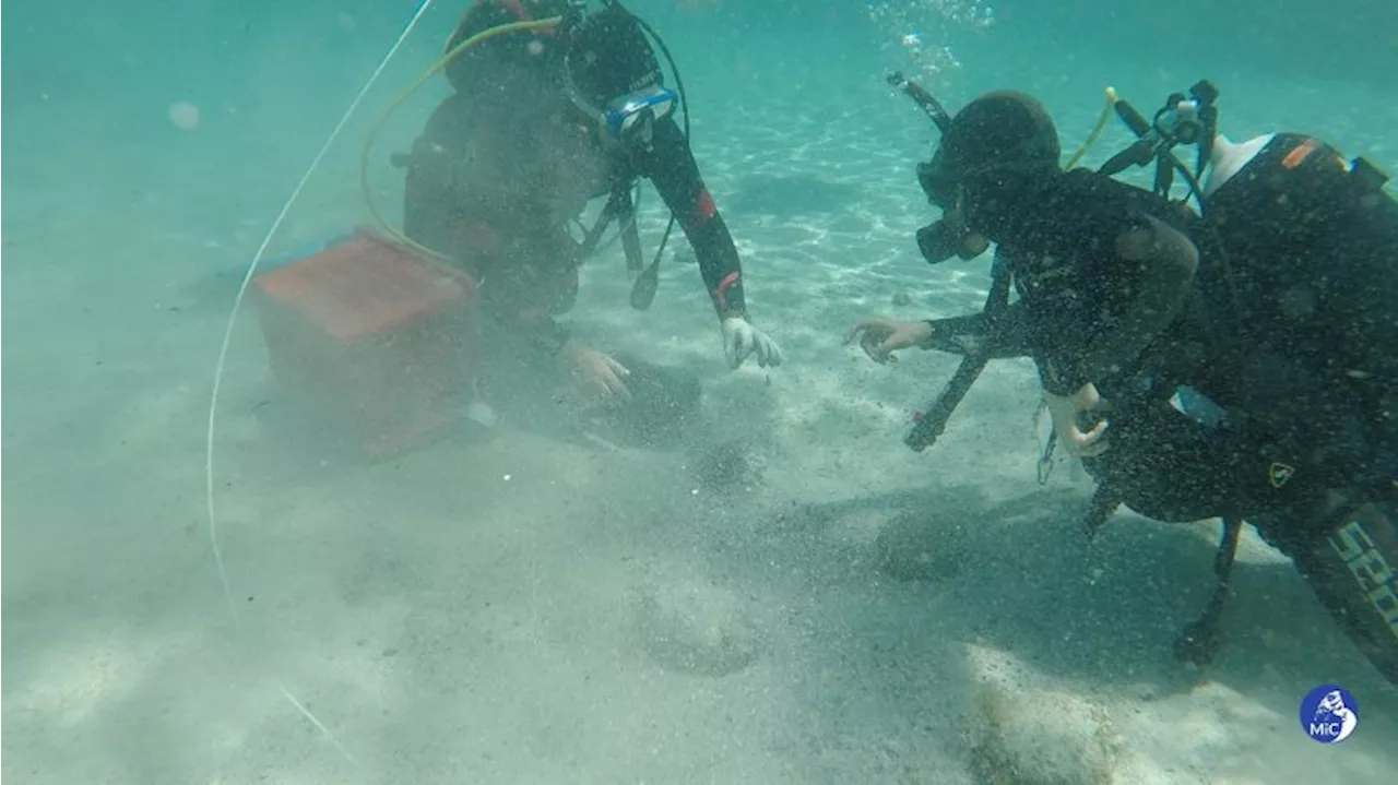 Archäologie in Italien: Hobby-Taucher entdeckt spektakulären Schatz