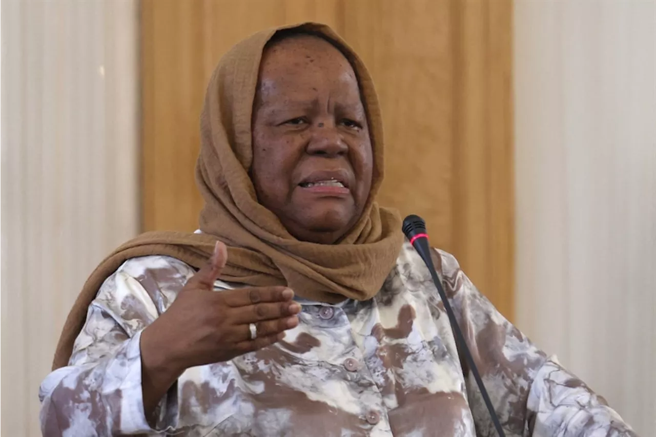 Pandor calls for International Criminal Court to issue arrest warrant for Benjamin Netanyahu