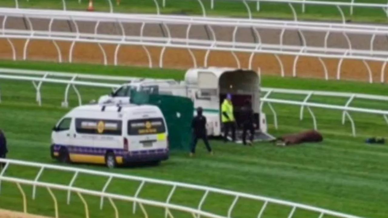 Horse dies days before Melbourne Cup