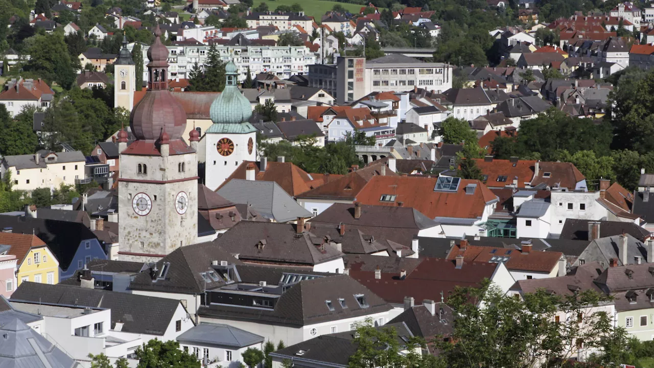 LENIE soll das Zusammenleben in der Gemeinde einfacher machen