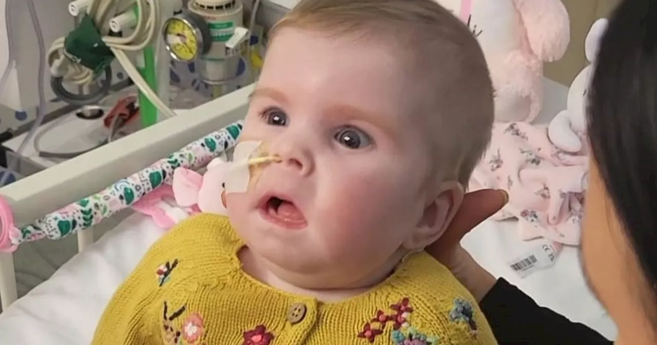 Judge to decide if QMC baby's life support should end at home