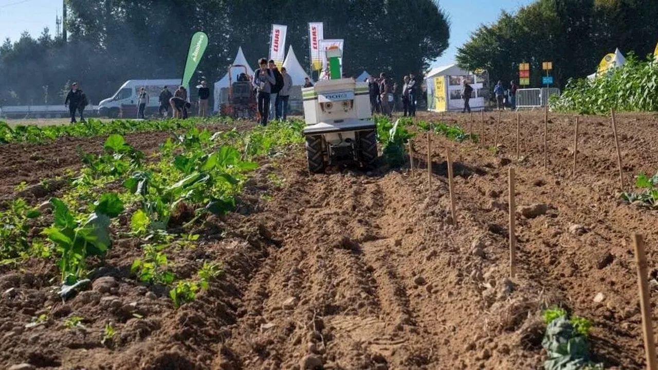 Ayant reçu 10 000 visiteurs en 2022, le Salon Bio 2024 de Retiers se prépare