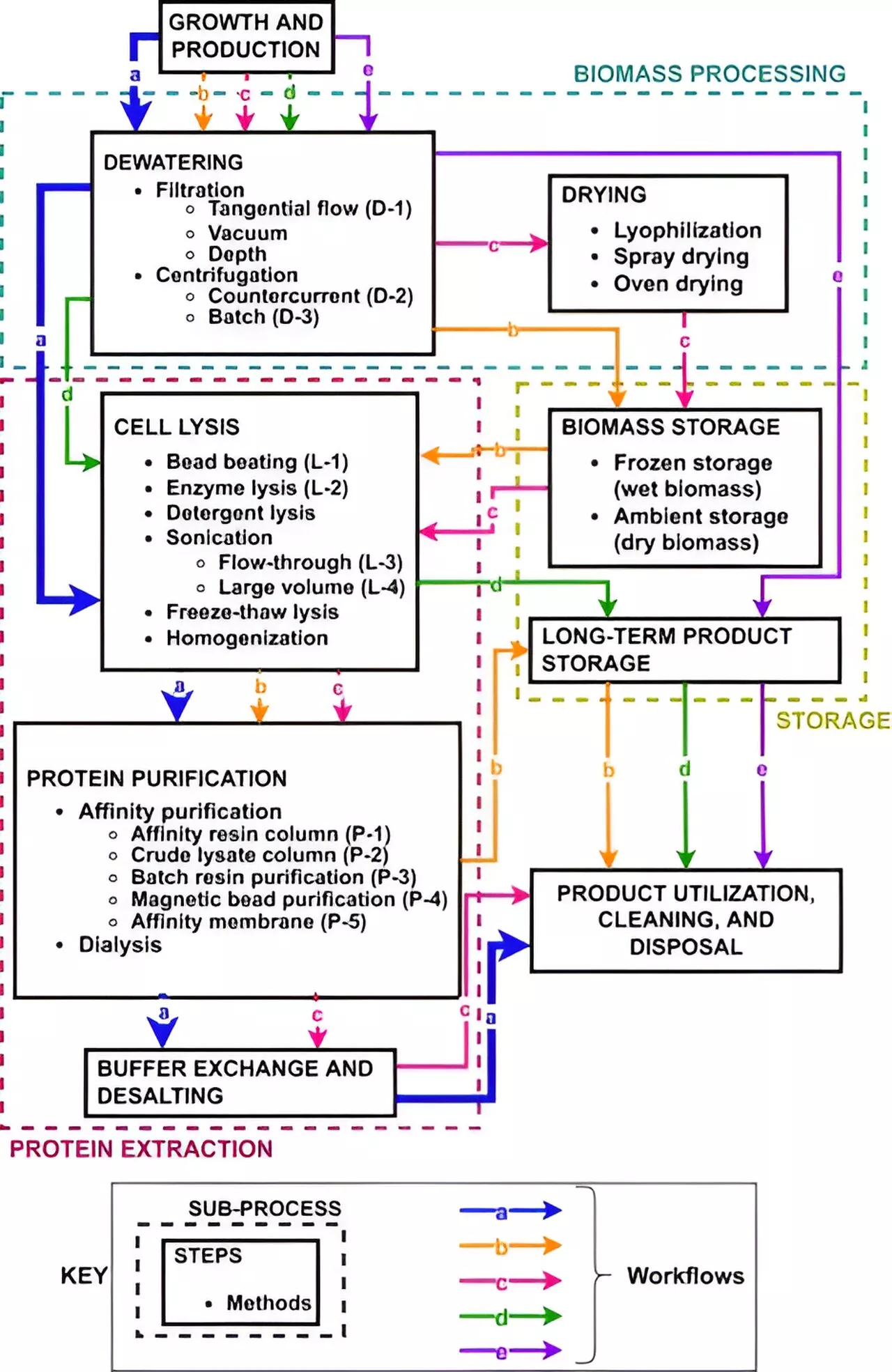 Designing a space bioprocessing system to produce recombinant proteins