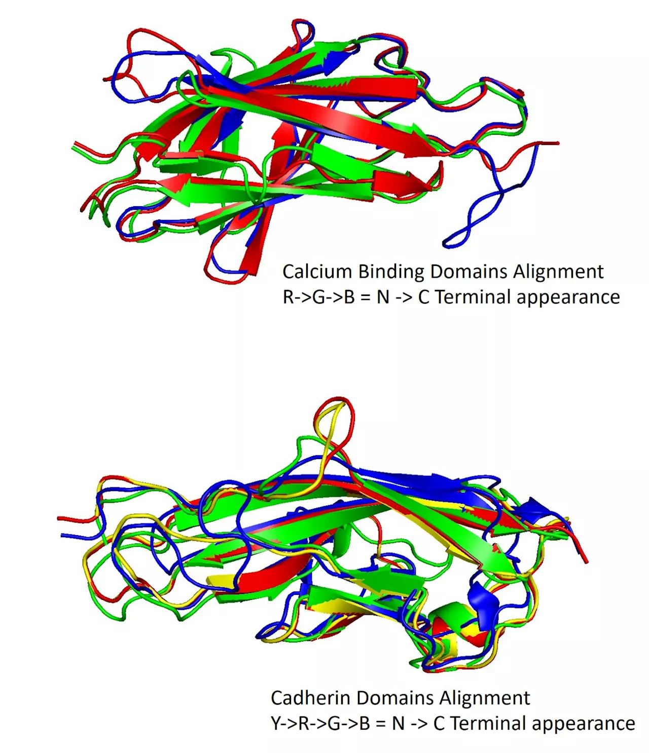 Researchers discover new method to inhibit cholera infection