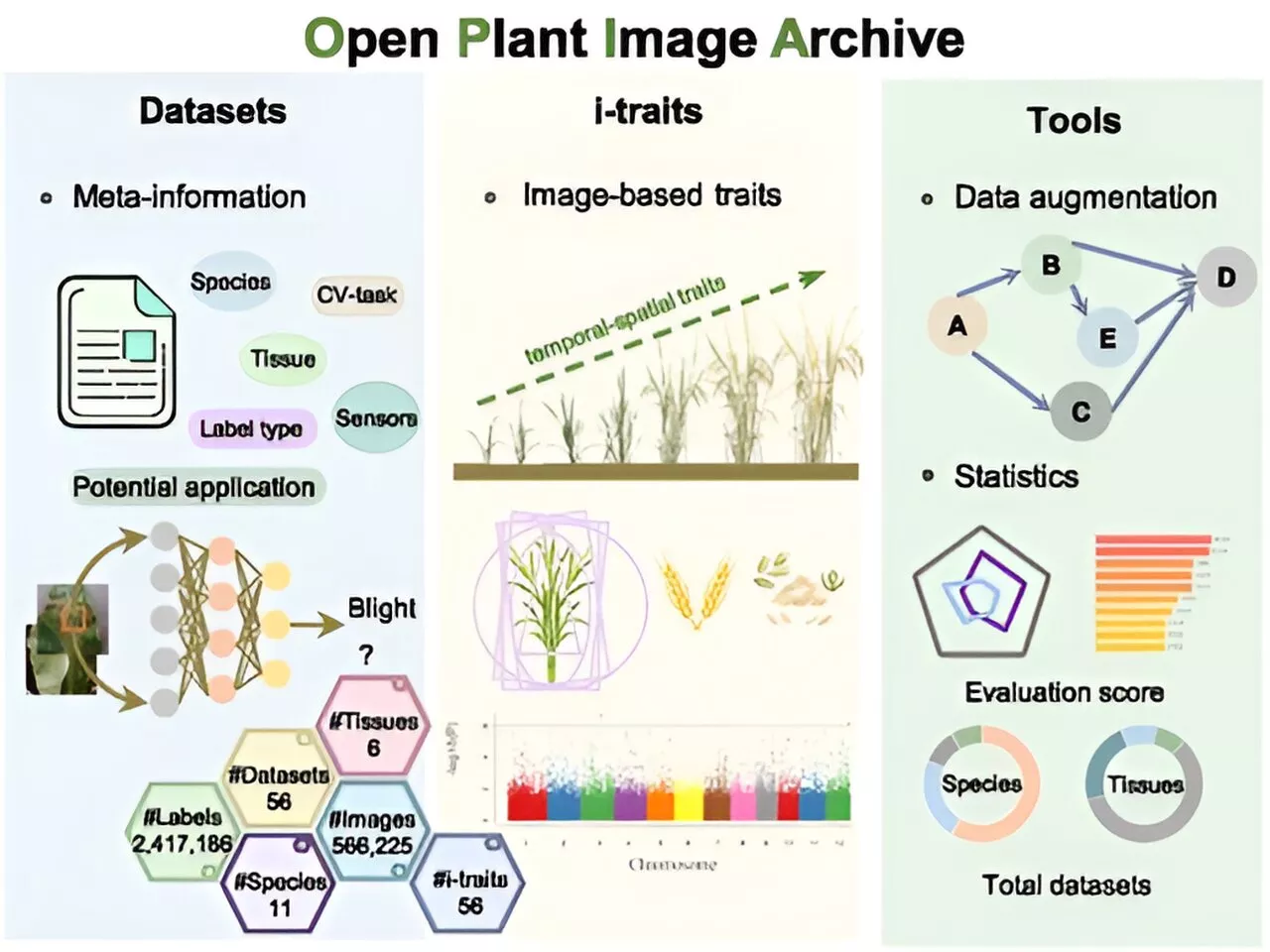 Scientists develop open archive of plant images and related phenotypic traits