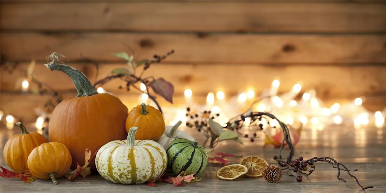 The Best Fall Decor on Amazon to Buy for Your Home Right Now