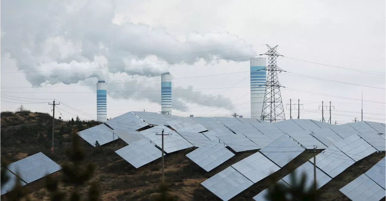 China will dominate solar supply chain for years -Wood Mackenzie