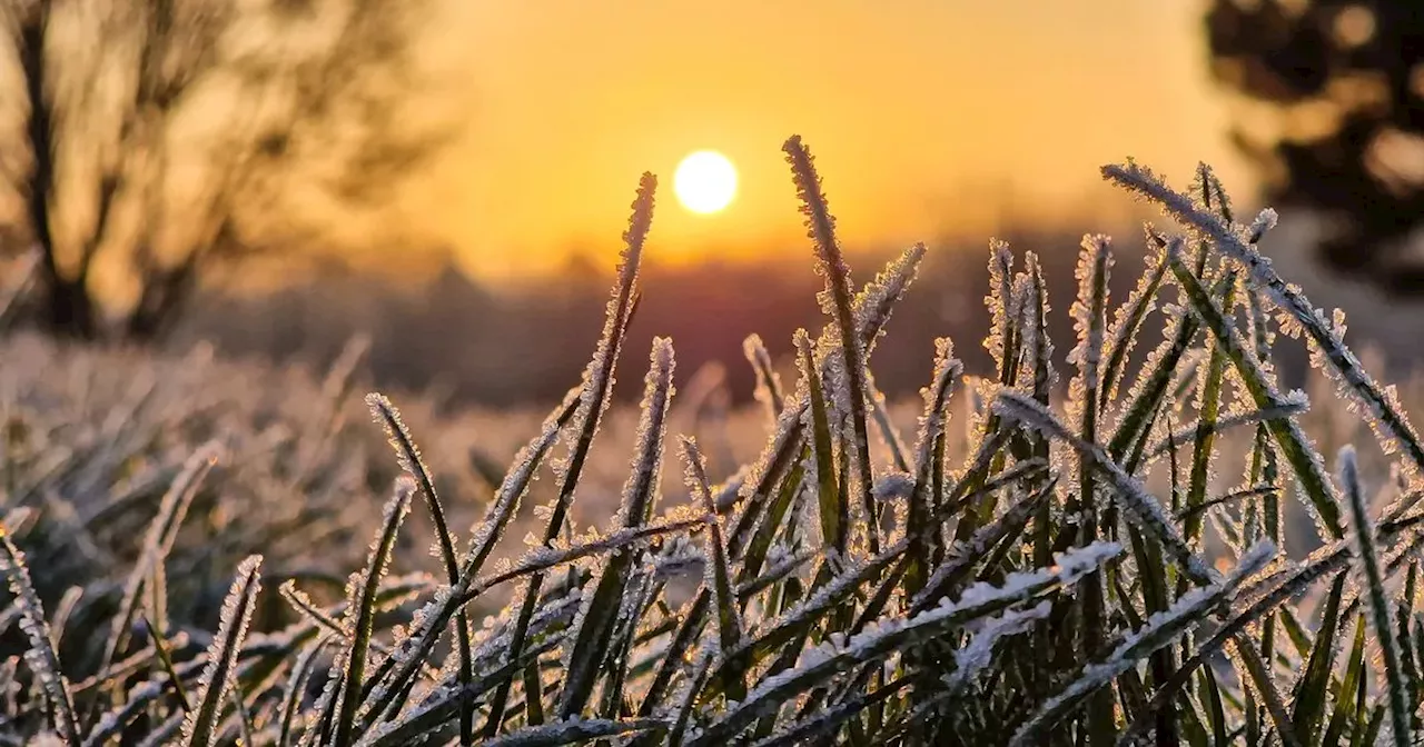 Met Eireann forecast temperatures will plunge to -1 within days