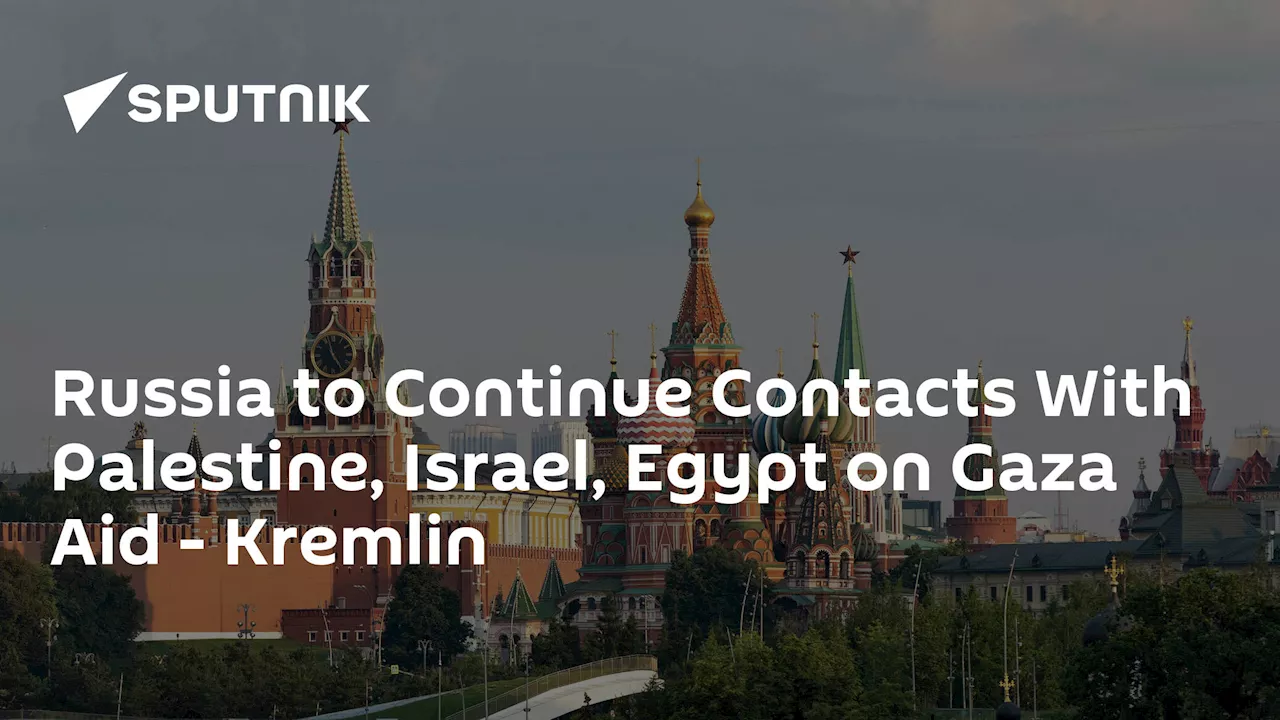 Russia to Continue Contacts With Palestine, Israel, Egypt on Gaza Aid