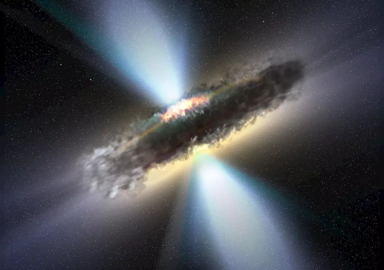 Cosmic Cloak & Dagger: Quasars Shrouded by Starburst Galaxies