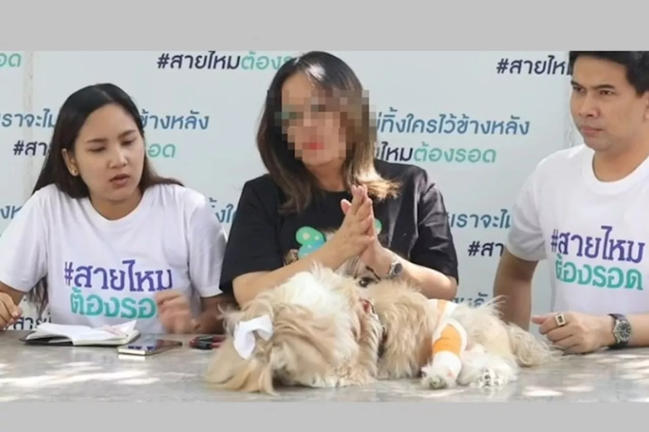 สาวร้อง'รพ.สัตว์ชื่อดัง'ทำหูน้องหมาขาดจากการอาบน้ำผิดวิธี