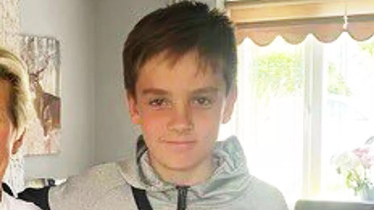 Parents' tribute to 'happy, funny boy' who died in Essex school run crash