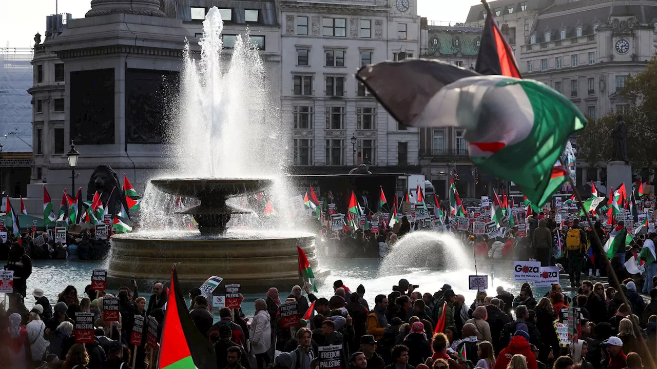 Pro-Palestinian march on Armistice Day not yet reached threshold for ban, says Met Police chief