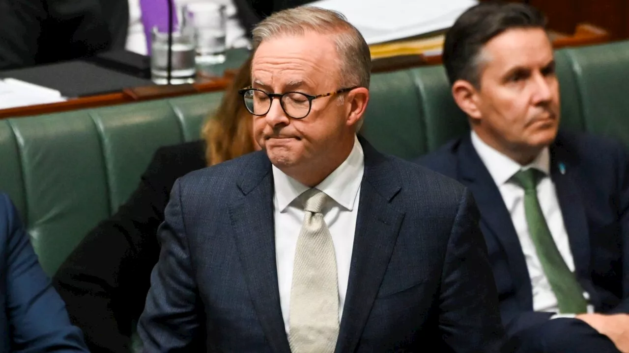 ‘Albo-dozen’: Paul Murray calls out Labor’s inaction over interest rate hikes