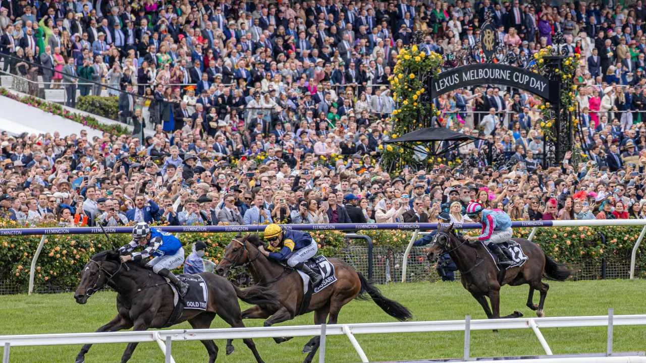 SkyNews.com.au’s experts share their Melbourne Cup tips, including a shock $18 roughie