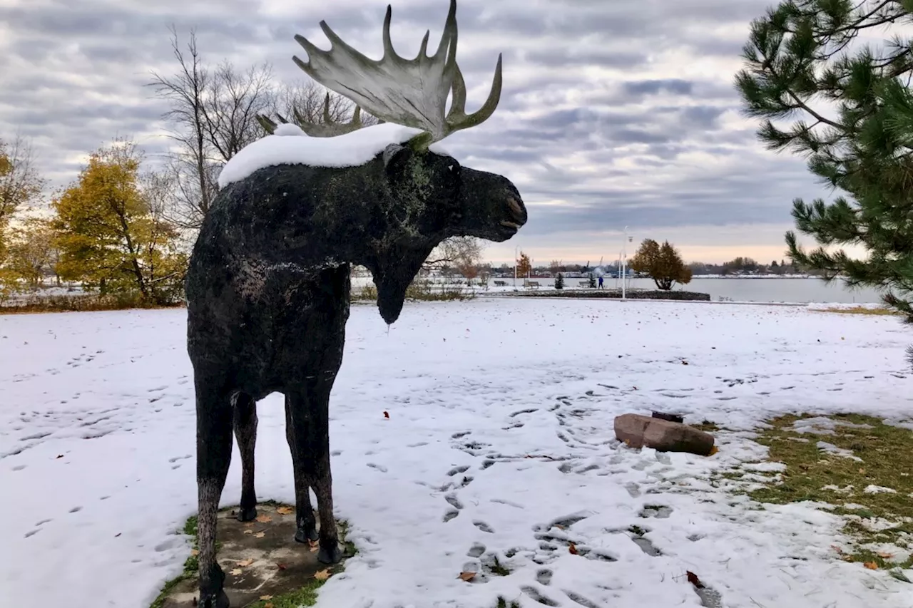 Good morning, Sault Ste. Marie!