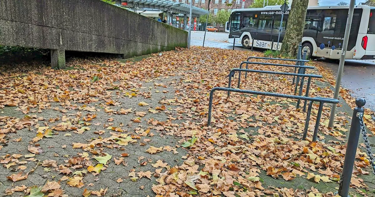 Tipps für das Entsorgen von Laub in St. Ingbert - darauf muss man achten