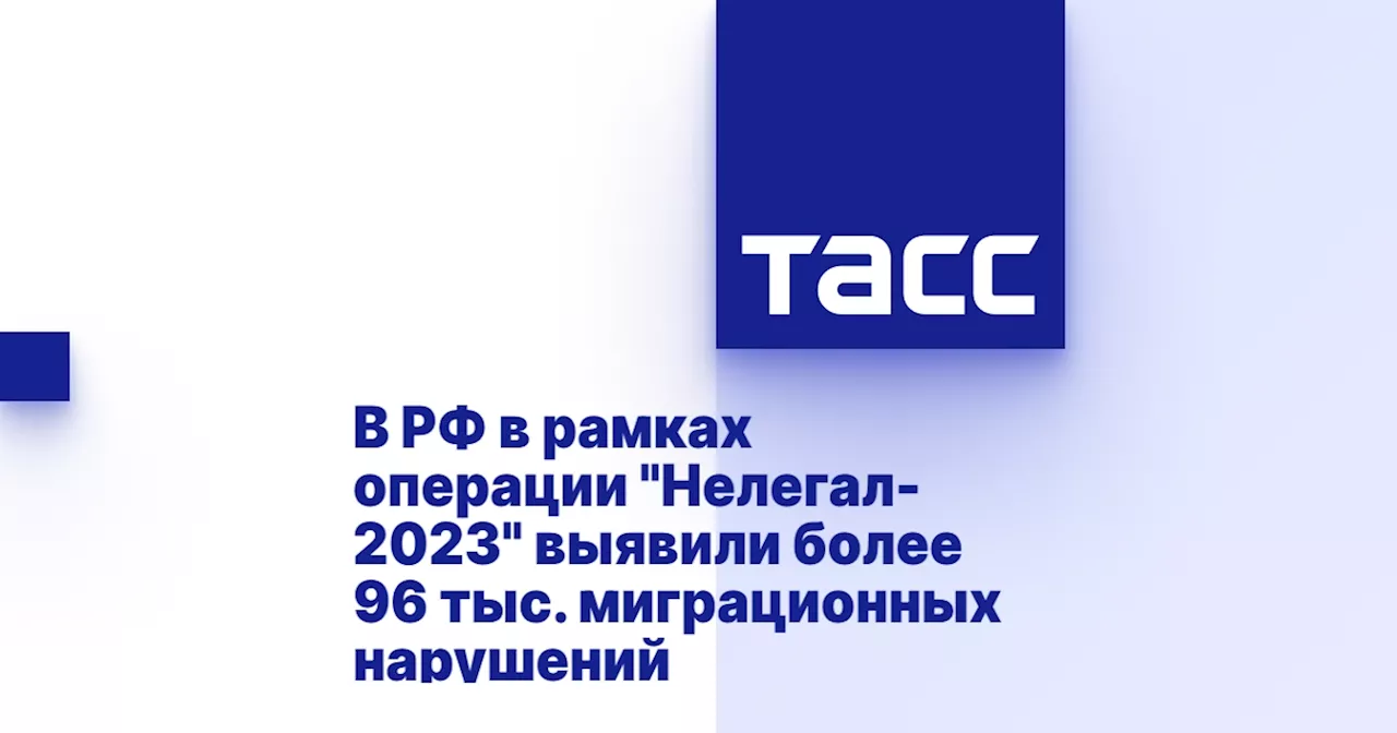 В РФ в рамках операции 'Нелегал-2023' выявили более 96 тыс. миграционных нарушений