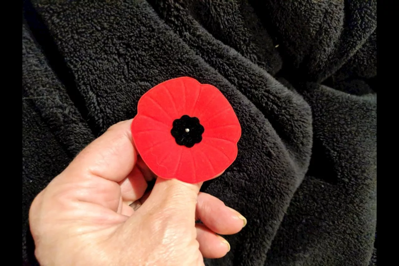 Hospital patients benefit from Remembrance Day poppy sales