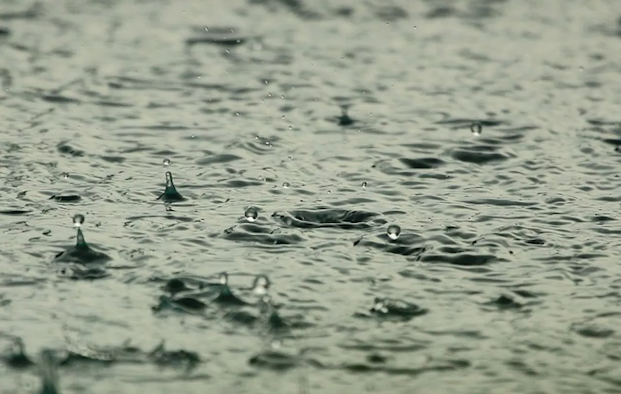 Heavy rainfall: City of Joburg issues helpful emergency contact details