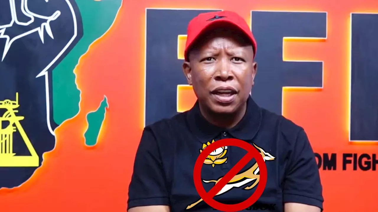 Malema’s ‘anti-Springboks’ rampage continues