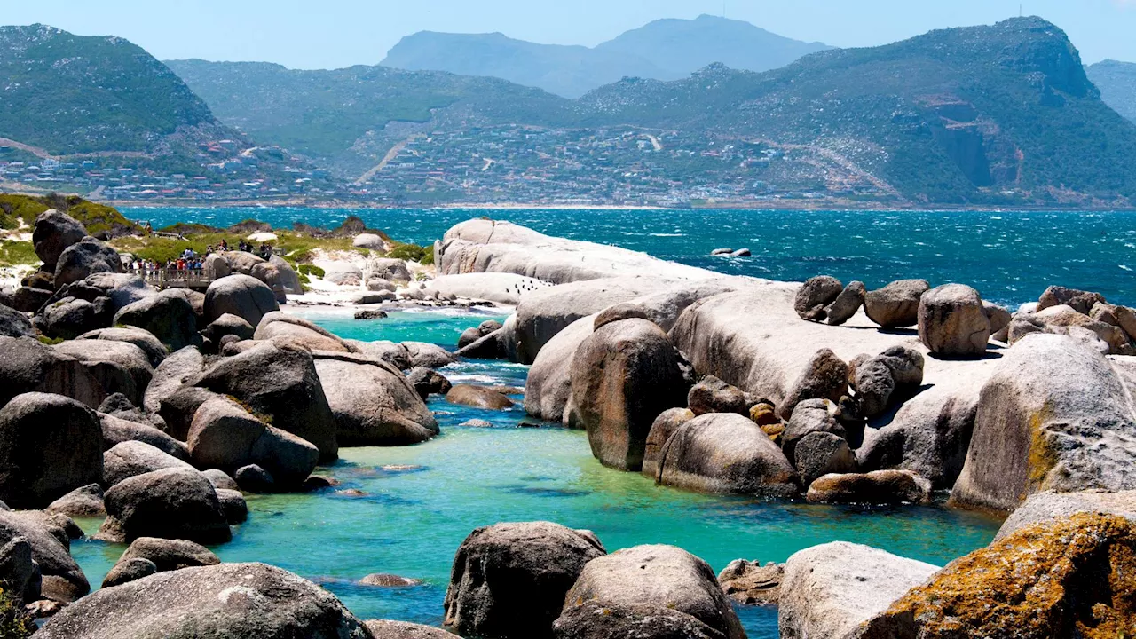 Three reasons why you MUST visit Boulders Beach in Cape Town