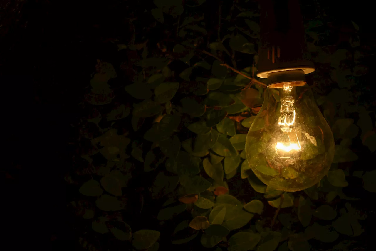 WATCH: TUESDAY’S Eskom load shedding schedule [VIDEO]