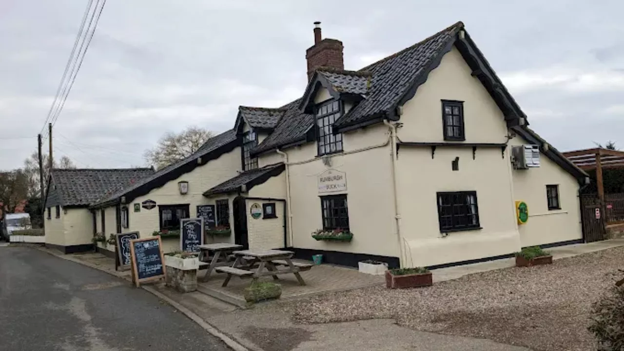 Locals left stunned as A-list music star pulls pints in small village pub...