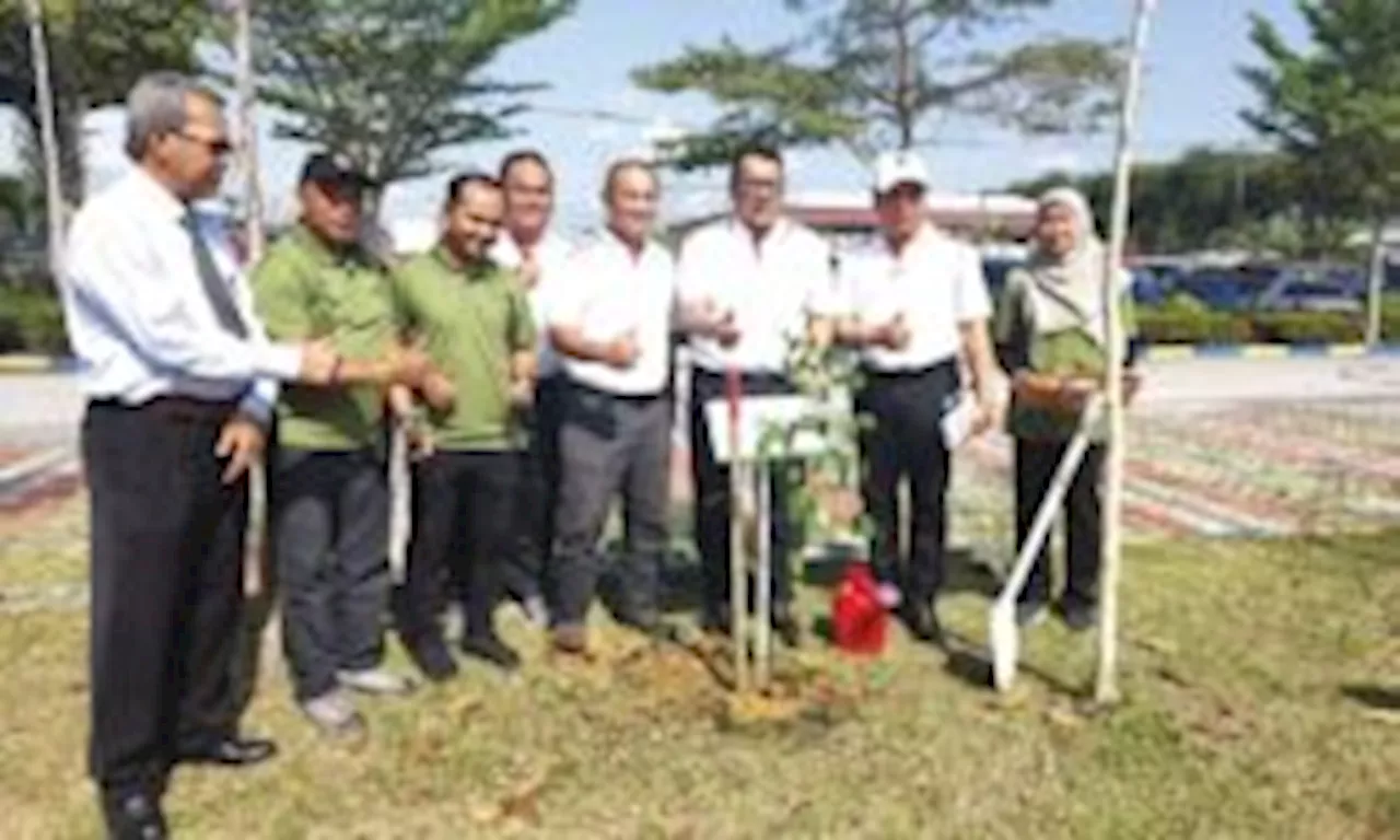 Bentang MMKN Selangor tindakan lanjut dusun haram Musang King