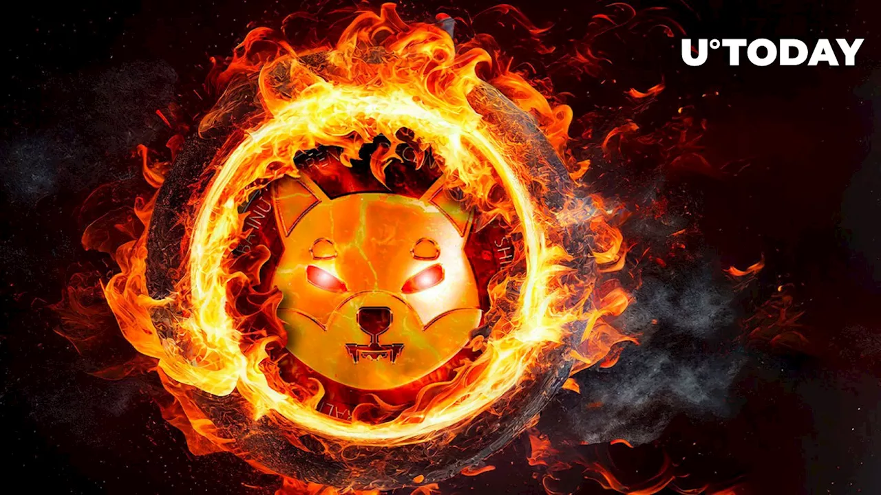 Here's Who Burned 173 Million Shiba Inu (SHIB) Tokens: Unexpected Discovery