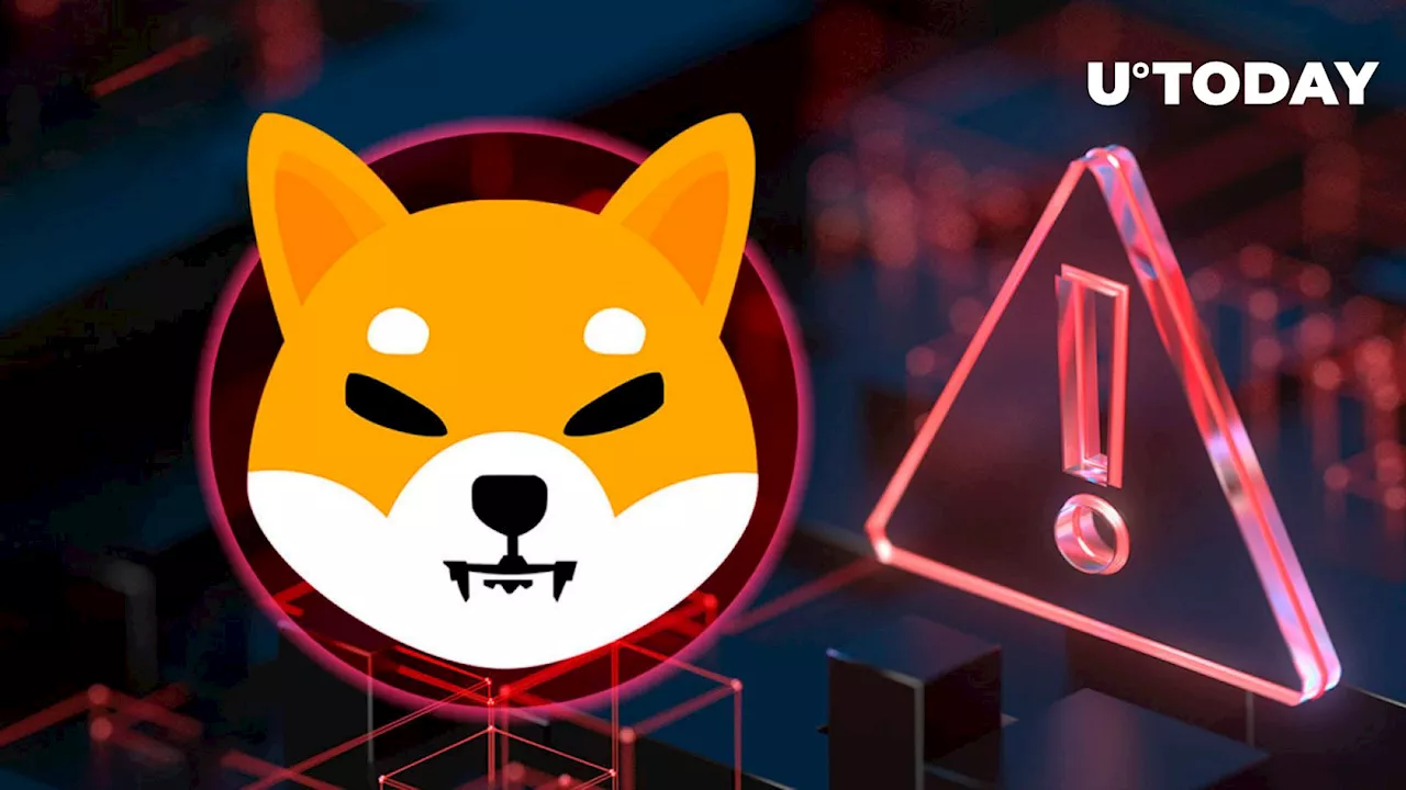 New Big SHIB Project Website Faces Issue With User Login Feature