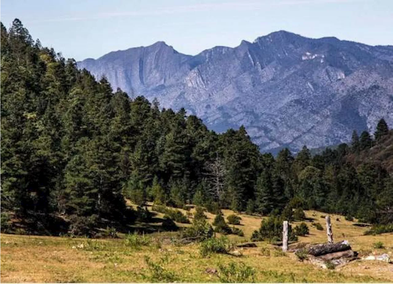 Instalarán 50 cámaras de vigilancia en diversos puntos de la sierra de Arteaga