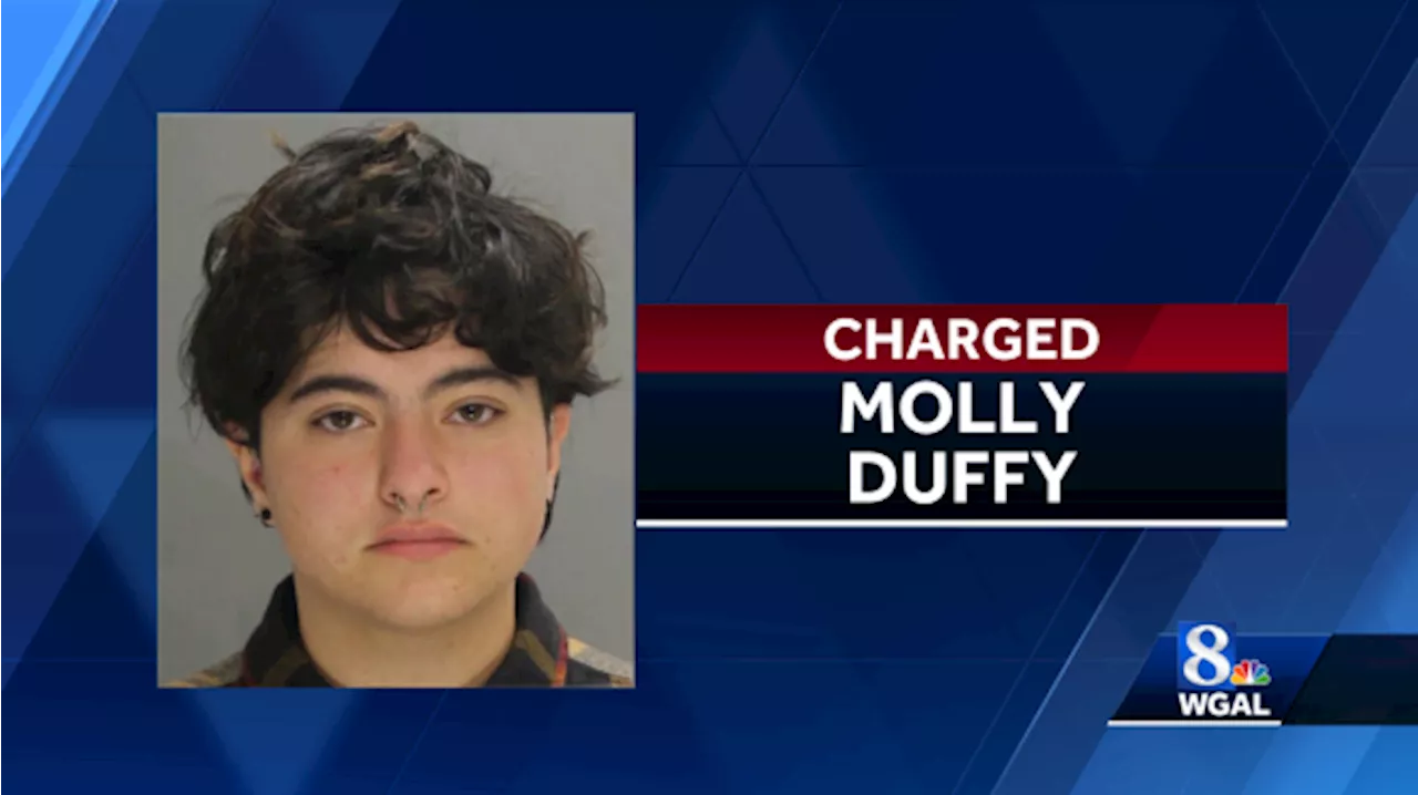 Driver charged with involuntary manslaughter, DUI in deadly crash in Lancaster County