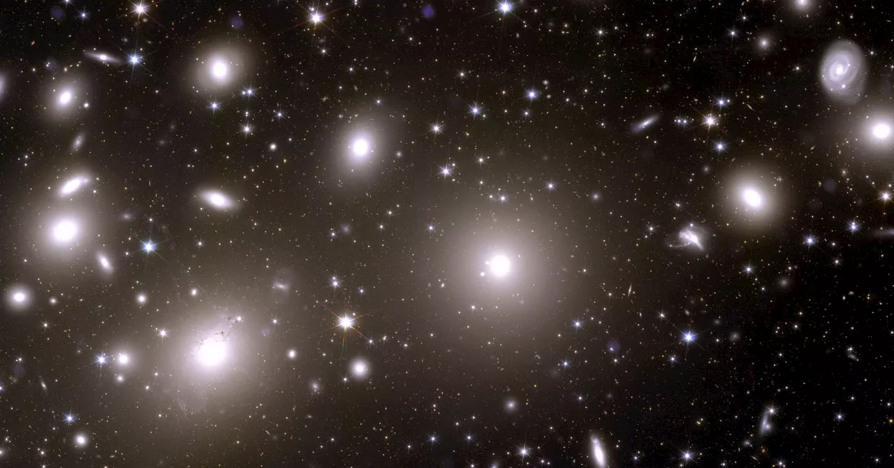 The Euclid Space Telescope’s Spectacular First Photos of Distant and Hidden Galaxies