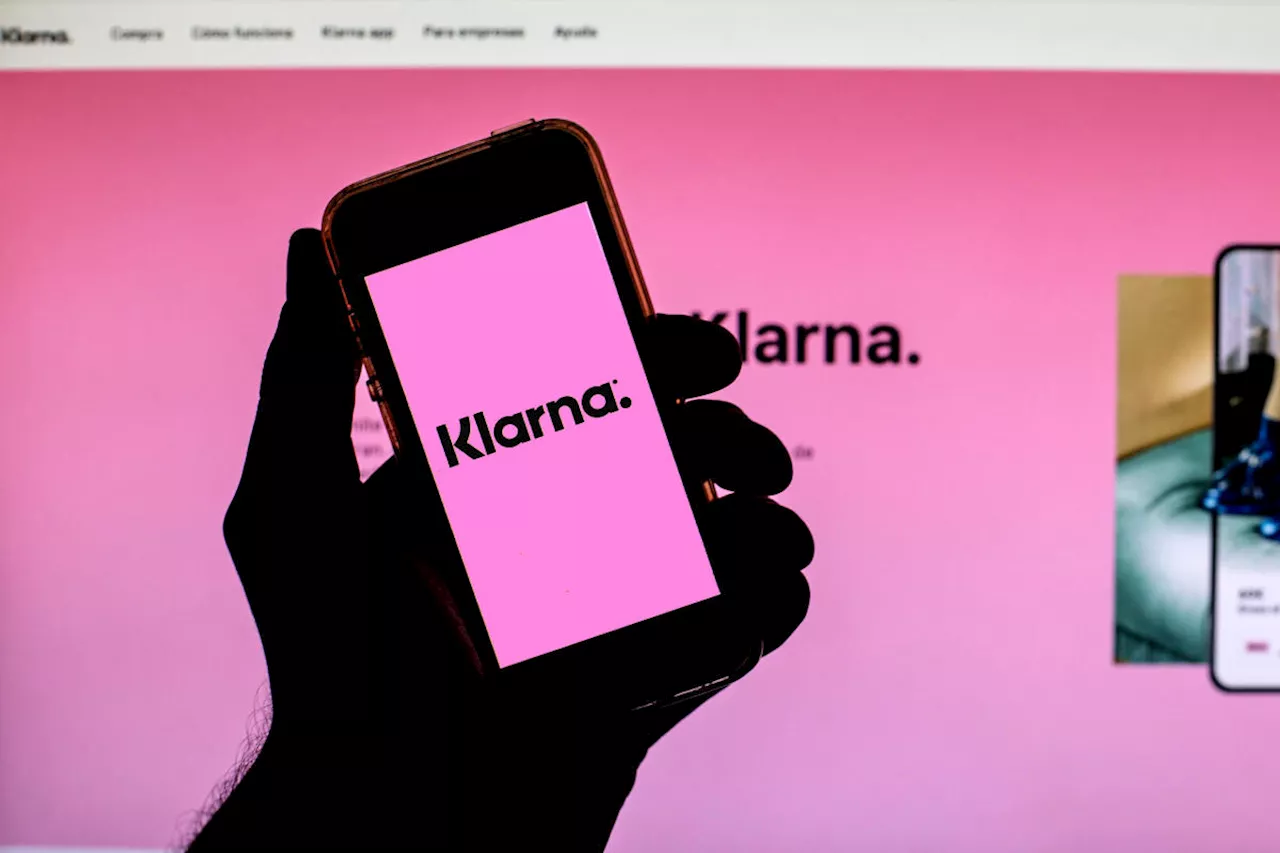 Consumers 'starting to cut back' on discretionary spending, Klarna CEO says