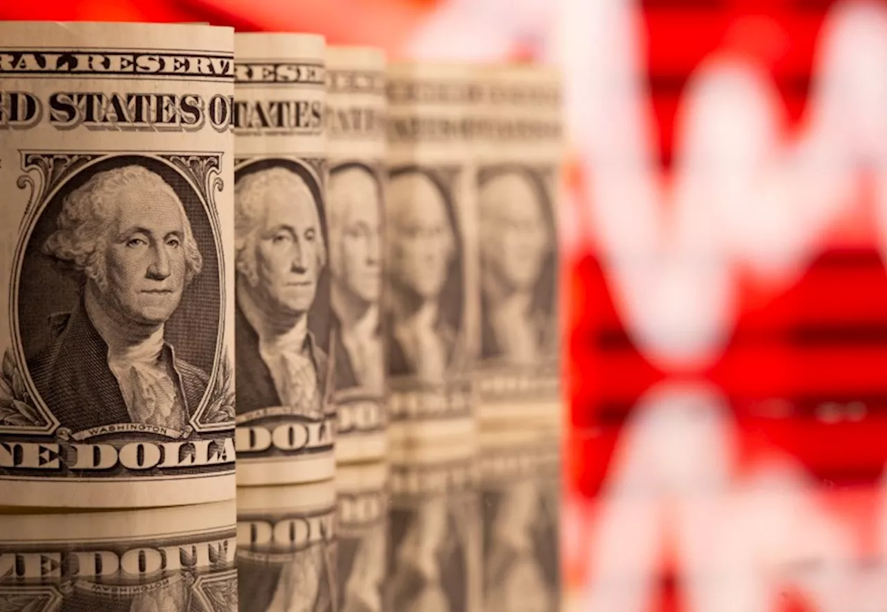 Dollar steady as risk rally eases, RBA in focus